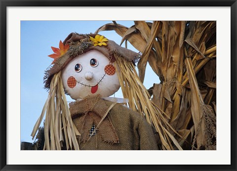 Framed Scarecrow and Dead Corn Husks, Carnation, Washington Print