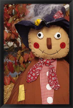Framed Stuffed Scarecrow on Display at Halloween, Washington Print