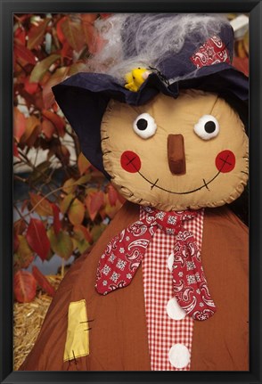 Framed Stuffed Scarecrow on Display at Halloween, Washington Print