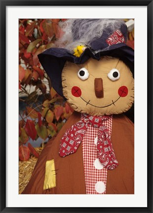 Framed Stuffed Scarecrow on Display at Halloween, Washington Print