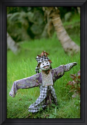 Framed Village Scarecrow, Rice Fields, near Tegallalan, Bali, Indonesia Print