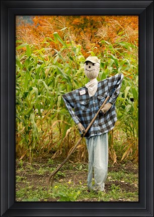 Framed New York, Cooperstown, Farmers Museum Fall cornfield with scarecrow Print