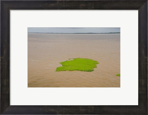Framed Brazil, Amazon, Manaus The Meeting of the Waters Floating plant mat Print