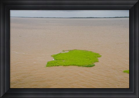 Framed Brazil, Amazon, Manaus The Meeting of the Waters Floating plant mat Print