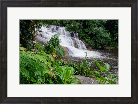 Framed Rainforest waterfall, Serra da Bocaina NP, Parati, Brazil (horizontal) Print