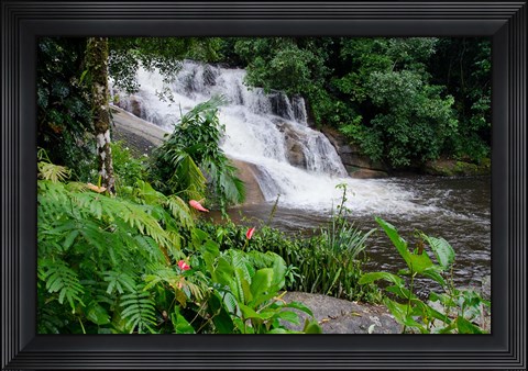 Framed Rainforest waterfall, Serra da Bocaina NP, Parati, Brazil (horizontal) Print