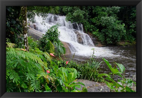 Framed Rainforest waterfall, Serra da Bocaina NP, Parati, Brazil (horizontal) Print