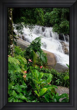 Framed Rainforest waterfall, Serra da Bocaina NP, Parati, Brazil (vertical) Print