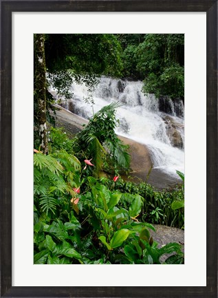 Framed Rainforest waterfall, Serra da Bocaina NP, Parati, Brazil (vertical) Print