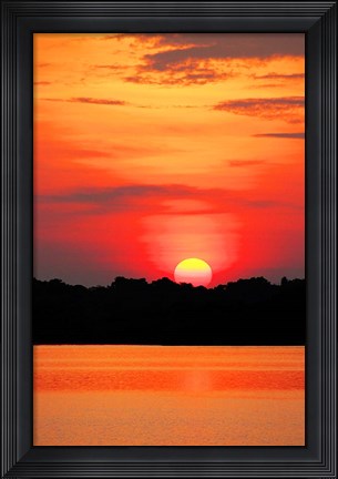 Framed Amazon Jungle, Brazil, Sunset Print