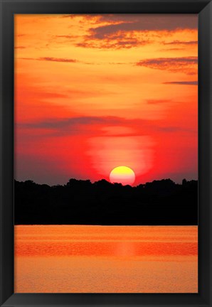 Framed Amazon Jungle, Brazil, Sunset Print