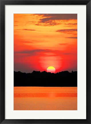 Framed Amazon Jungle, Brazil, Sunset Print