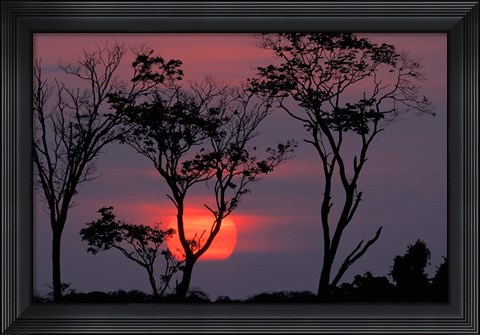 Framed Amazonia Sunset Print