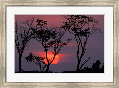 Framed Amazonia Sunset Print