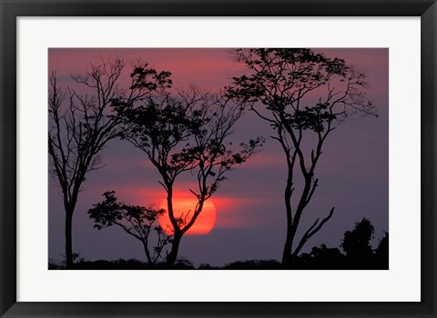 Framed Amazonia Sunset Print