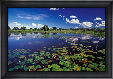 Framed Waterways in Pantanal, Brazil Print