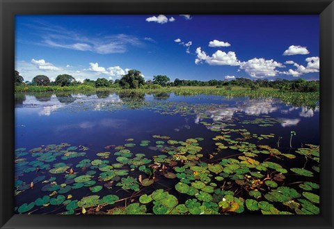 Framed Waterways in Pantanal, Brazil Print