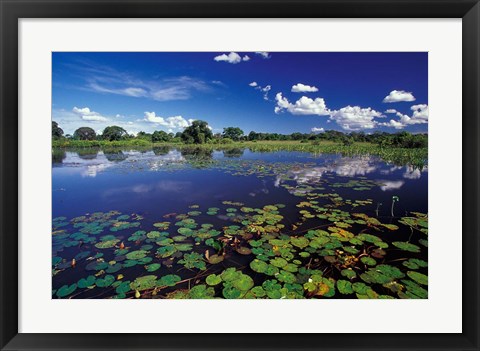 Framed Waterways in Pantanal, Brazil Print