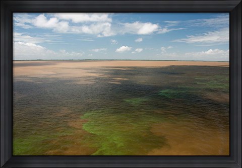Framed Brazil, Amazon River, Algae bloom Print