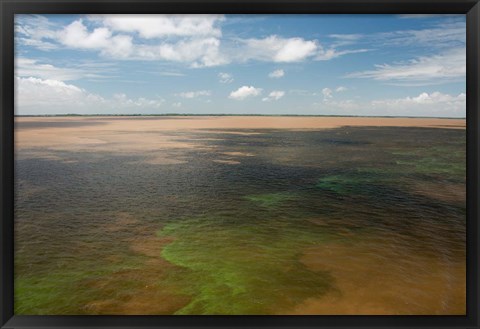 Framed Brazil, Amazon River, Algae bloom Print