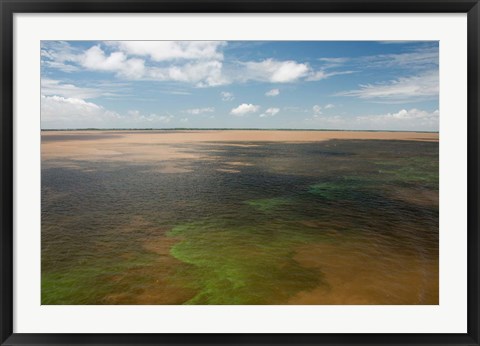 Framed Brazil, Amazon River, Algae bloom Print