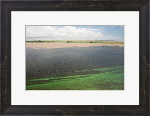 Framed Brazil, Amazon River, Santarem Meeting of the Waters Algae bloom Print