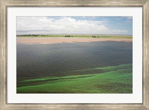 Framed Brazil, Amazon River, Santarem Meeting of the Waters Algae bloom Print