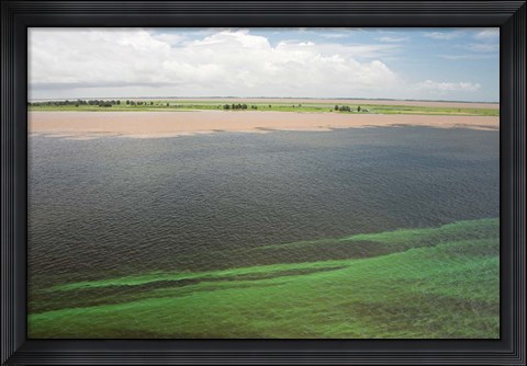 Framed Brazil, Amazon River, Santarem Meeting of the Waters Algae bloom Print