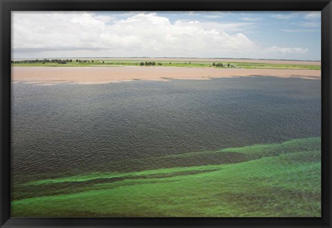 Framed Brazil, Amazon River, Santarem Meeting of the Waters Algae bloom Print