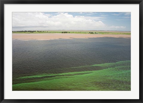 Framed Brazil, Amazon River, Santarem Meeting of the Waters Algae bloom Print