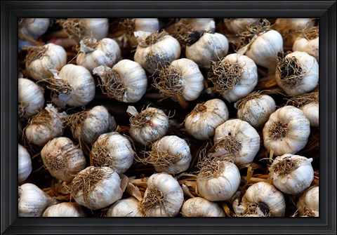 Framed Cuba, Santa Clara Garlic Cloves for sale in a local street market Print