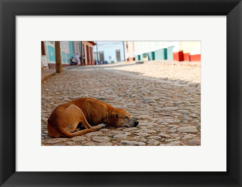 Framed Cuba, Trinidad Dog sleeping in the street Print