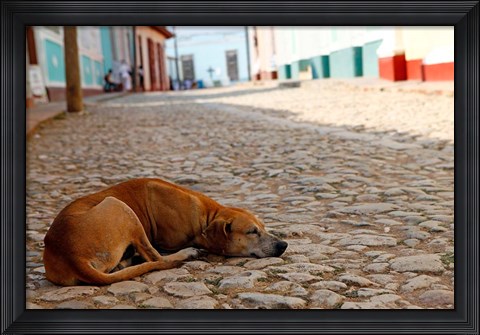 Framed Cuba, Trinidad Dog sleeping in the street Print