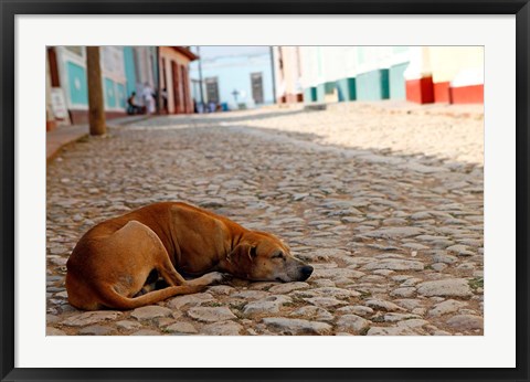 Framed Cuba, Trinidad Dog sleeping in the street Print