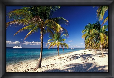 Framed Tropical Beach on Isla de la Juventud, Cuba Print