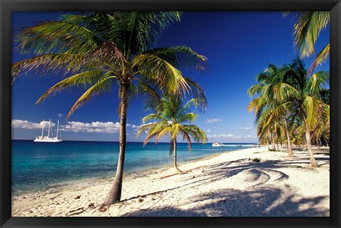 Framed Tropical Beach on Isla de la Juventud, Cuba Print