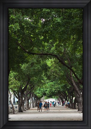 Framed Cuba, Havana, Havana Vieja, Paseo de Marti walkway Print
