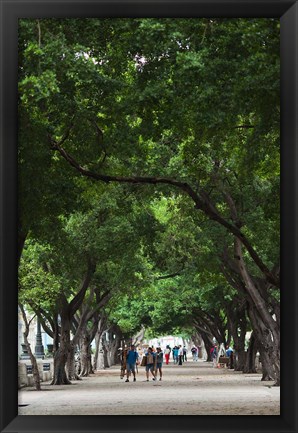 Framed Cuba, Havana, Havana Vieja, Paseo de Marti walkway Print