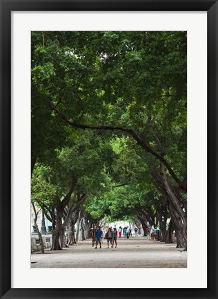 Framed Cuba, Havana, Havana Vieja, Paseo de Marti walkway Print