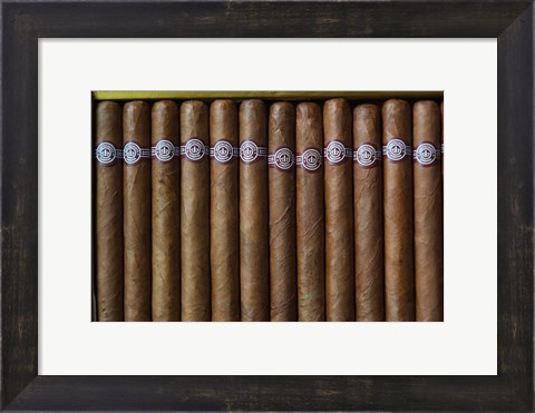 Framed Cuba, Pinar del Rio Province, Cuban Cigars Art Print image Print