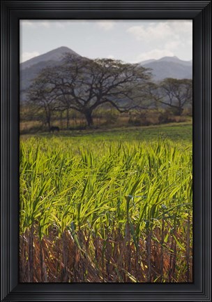 Framed Cuba, San Francisco, Cienfuegos-Trinidad coast Print