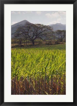 Framed Cuba, San Francisco, Cienfuegos-Trinidad coast Print