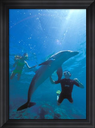 Framed Caribbean Sea, Curacao Print