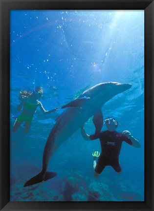 Framed Caribbean Sea, Curacao Print