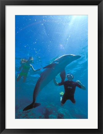 Framed Caribbean Sea, Curacao Print