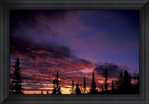 Framed Solstice Sunset atop Midnight Dome, Dawson City, Yukon, Canada Print