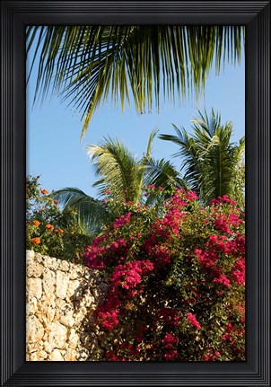 Framed Viva Wyndham Dominicus Beach, Bayahibe, Dominican Republic Print