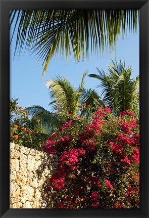 Framed Viva Wyndham Dominicus Beach, Bayahibe, Dominican Republic Print