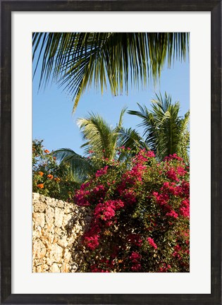 Framed Viva Wyndham Dominicus Beach, Bayahibe, Dominican Republic Print