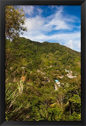 Framed Dominica, Roseau, Grand Bay Area, Petite Savanne Print